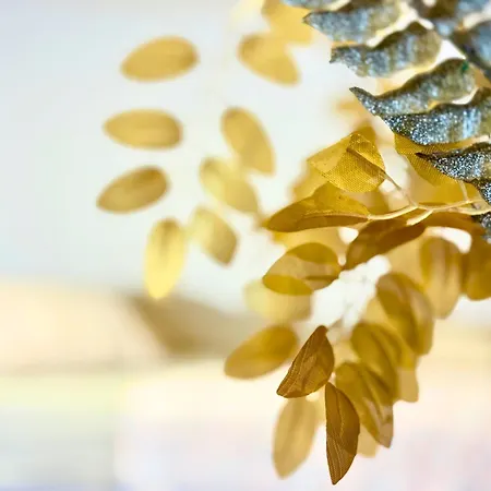 Apartment Charm 1a *