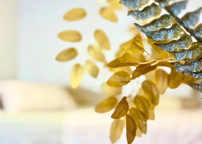 Apartment Charm 1a *