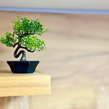 Apartamento Charm 1a