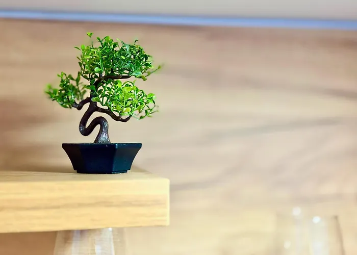 Apartment Charm 1a